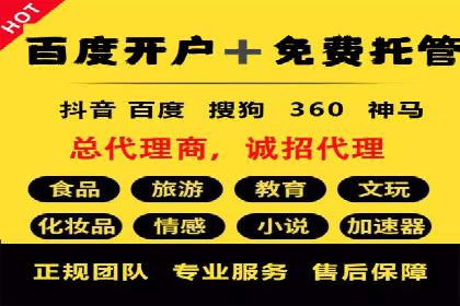 行业领先企业的SEM代运营经验分享
